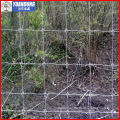 Grassland fence /Grassland netting/Grassland wire mesh(professional producer)